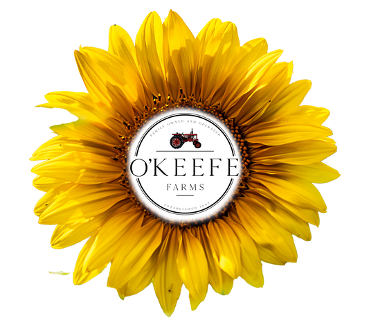 O'Keefe 2025 Sunflower Festival